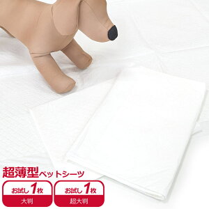 Tv@^ybgV[c@pybgV[c@唻@98×98cm@1 / 唻@128×98cm@1