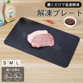 解凍プレート 急速解凍 解凍板 まな板 粗熱 自然解凍プレート冷凍食品 家庭用 急速 瞬間解凍皿 食品解凍 肉 刺身 省エネ 電気不要 アルミ 魚 野菜 母の日 ギフト