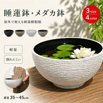 楽天市場】ビオトープ プラスチックの通販