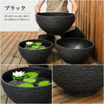 楽天市場】睡蓮鉢 大型（カラーブラック）（植木鉢・プランター 
