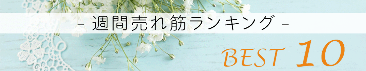今売れてるのはこれ！