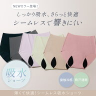 ＼限定1,500円OFFクーポン／【16%OFF】 ブラデリスニューヨーク BRNYピース 薄くて快適！シームレス吸水…