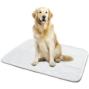 _ 2Zbg ^ ybgV[c 􂦂 RȂ JԂg Ch 唻 ybg}bg gCV[g  L p pbh V[g  z ~ ybgp p 