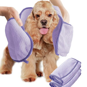 y݌ɌI250~zybg z^I oX^I tFCX^I uPbg }CNt@Co[ ybgp^I Ɍ Ch C V[  L p^I ybg^I hL L