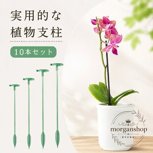 �A���x�� 10�{�Z�b�g ���|�x�� �v���X�`�b�N�� 27cm 37cm 48cm 58cm �X���b�g�݌v �A���T�|�[�g �U���x�� �|��h�~ �ϗt�A�� �Ԃ����� ���� �o�� ���� ���A�� �؉� �K�[�f�j���O �_�Ɨp ���|�p�i