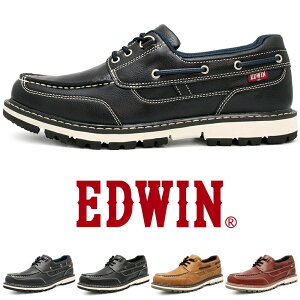 C Y V[Y JWAV[Y h vC Xj[J[ fbLV[Y JV 3E ϊ hW\[  RC amC EDWIN GhEB EDM4106bK̔X 2025N6