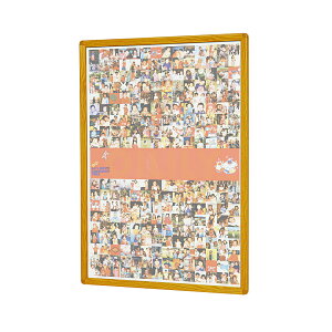 馬印 ポスターパネル 楽ラクパネル・ラクパー 木目調枠 QM-B3W