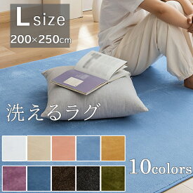 【スーパーSALE　限定価格】送料無料 ラグ 洗える ラグマット 洗える 200×250 3畳 北欧 フランネル カーペット 絨毯 遮音性 滑り止め ラグ マイクロファイバー レトロ モダン 北欧 新生活 オールシーズン フランネルラグ 床暖房対応