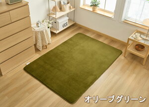 y݌Ɉ|Z[7499~3990~zuO2wł܂v O ᔽ Ɍ20mm 􂦂 200×250 3  ~ O}bg J[ybg zbgJ[ybgΉ rO t  