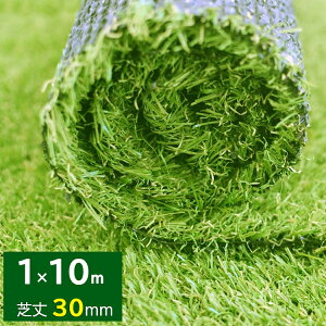 [PR]Vi  lH [ 1m×10m ŏ30mm Ő Ő}bg lHŐ lHŃ}bg lHŃ[ [^Cv Œs  x_ eX oRj[ K[fjO K[f 