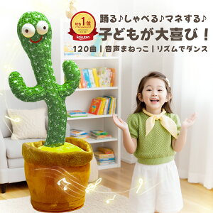 y10OFFTikTok̐lCiIzxT{e x ̂ T{e  _XT{e hT{e dq ʔ 킢 ʂ ΂ FB v[g q p̉̕t  