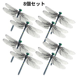 _yVX[p[SALE^Ij}  Ij}N 14cm ɂ tBMA St A g{ 悯 ΍ Sst ނ Ro Lbv O 悯͌^  XY