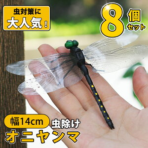 _yVX[p[SALE^Ij}N Ij}  14cm ɂ tBMA St A g{ 悯 ΍ Sst ނ Ro Lbv O 悯͌^  XY