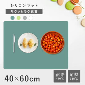 【P10倍衝撃SALE】キッチン シリコンマット 耐熱 キッチン 調理台 保護シート シリコンマット キッチン 40 60 厚手 耐熱 吸音 滑り止め 調理台保護シート ステンレス キッチン ステンレス シリコンマット パン 製菓 キッチン台 保護 シート 拭ける 衝撃吸収 防汚加工