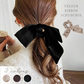【森川2点で10%OFF】ベロア リボン ュシュ ヘアアクセ ヘアアクセサリー リボン ヘアアクセ ベルベット レディース 簡単 髪飾り かわい リボン バレッタ ベロアリボン 黒 ヘアゴム ガーリー おしゃれ ベロア リボン まとめ髪 ヘアリボン シルク ヘアゴム 秋冬 母の日