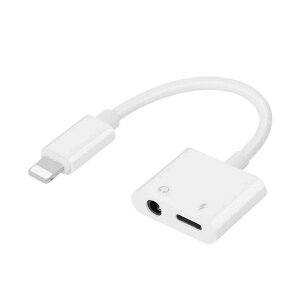 yyVX[p[SALEz iPhoneCz ϊA_v^ 3.5mmCz ϊP[u 3.5mm Lightning 2in1  iPhone 16 15 14 Pro SE4 se3 XR XS P[u ACtH iPad iPhone16 mini Pro Max Cz ϊ