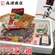 博多すっぽん鍋セット！ すっぽん 鍋 スッポン なべ 丸 ナベ 美容 コラーゲン 美容と健康に ギフト プレ…