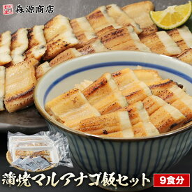 マルアナゴ 蒲焼きマルアナゴめしセット 9食分 あなご 穴子 煮穴子 焼きあなご 簡単キット 冷凍