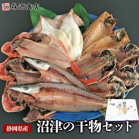 沼津の幸 一夜干しセット 金目鯛 真アジ 開きイカ かます サバ味醂 贈答用 ギフト プレゼント 敬老の日