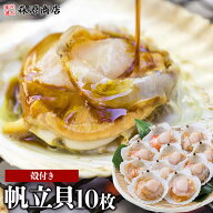 北海道産 殻付き ホタテ貝 殻付ほたて貝 10枚入り 帆立 ホタテ 片貝 バーベキュー BBQ ギフト プレゼント