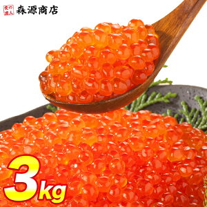  ݖЂ 250g ͏ǖ͔QI T[ gEg  R 芪i 炵i Mtg v[g