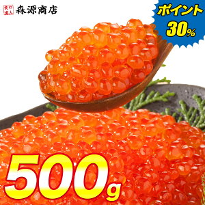  CN ݖЂ 250g×2pbN v500g ͏ǖ͔QI T[ gEg  R 芪i 炵i Mtg v[g