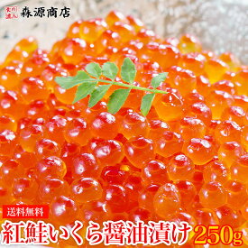 紅鮭 いくら 醤油漬け 250g 送料無料 イクラ 海鮮 丼 軍艦 手巻き 寿司 ちらし ギフト プレゼント