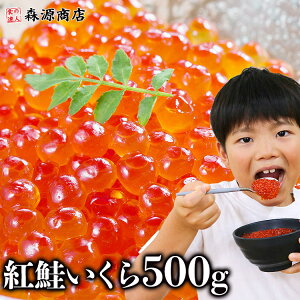 _20聚GgI100%|CgobNI^  g ݖЂ 500gi250g×2Pj  CN    TP  CN  R 芪 i 炵 ikura Mtg ߂