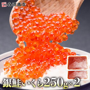  ݖЂ 250g CN    TP CN  R 芪 i 炵 Mtg v[g