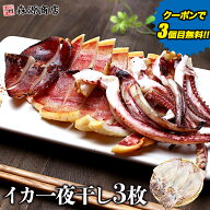 ＼クーポンで3個目無料!!／ ふっくらやわらか いか 一夜干し 3枚 イカ 烏賊 姿 干物 珍味 肴 ギフト プレ…