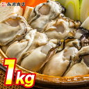 Lサイズ （35〜45粒） 牡蠣 カキ かき 広島県産 約1kg 加熱用 業務用 メガ盛り むき身 カキフライ 鍋 バーベキュー BBQ 御中元 お中元 ギフト プレゼント