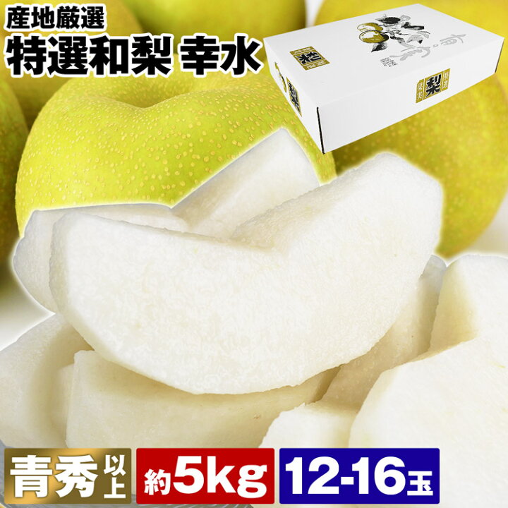 楽天市場 幸水 梨 12 16玉 約5kg 2l 4lサイズ 青秀以上 トップクラス 産地厳選 送料無料 冷蔵便 和梨 赤梨 なし ナシ 同梱不可 指定日不可 お取り寄せグルメ 食品 備蓄 ギフト 食の達人森源商店