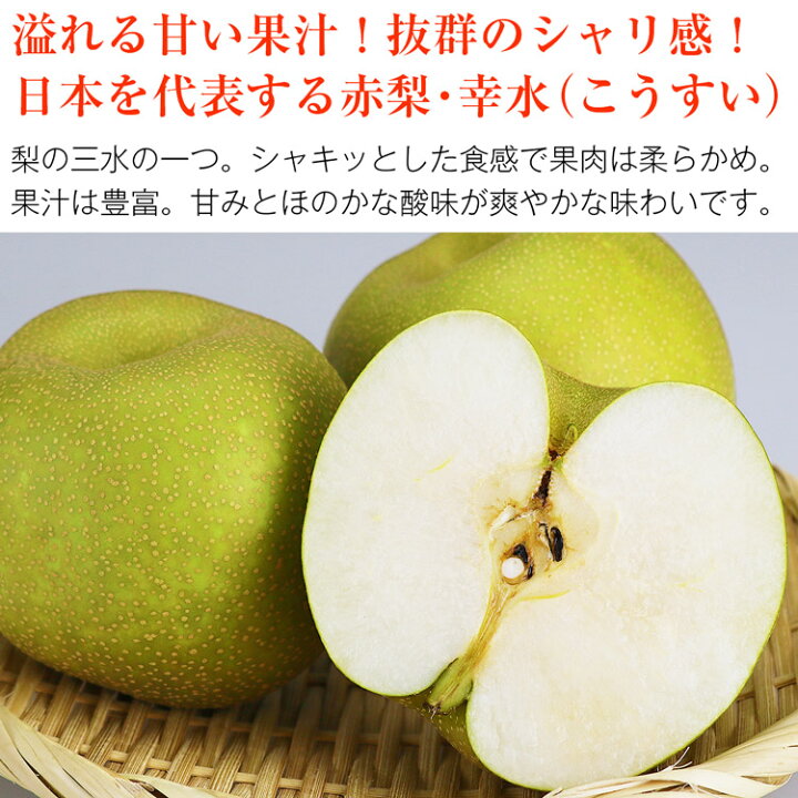 楽天市場 幸水 梨 12 16玉 約5kg 2l 4lサイズ 青秀以上 トップクラス 産地厳選 送料無料 冷蔵便 和梨 赤梨 なし ナシ 同梱不可 指定日不可 お取り寄せグルメ 食品 備蓄 ギフト 食の達人森源商店