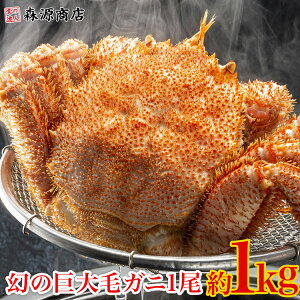 _1聚GgI100%|CgobNI^ ̋уKj1 1kg p ъI уKj Jj I Mtg v[g