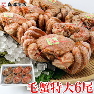 уKj TCY6 4kg ъI Jj I p 񂹃O Hi Mtg v[g