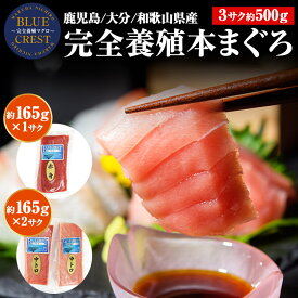 本まぐろ 産地直送 完全養殖 3サク約500g(赤身1中トロ2) クロマグロ 本マグロ 鮪 マルハニチロ BLUE CREST 産直 同梱不可 指定日不可 ギフト お取り寄せグルメ 食品 お中元 ギフト プレゼント 御中元