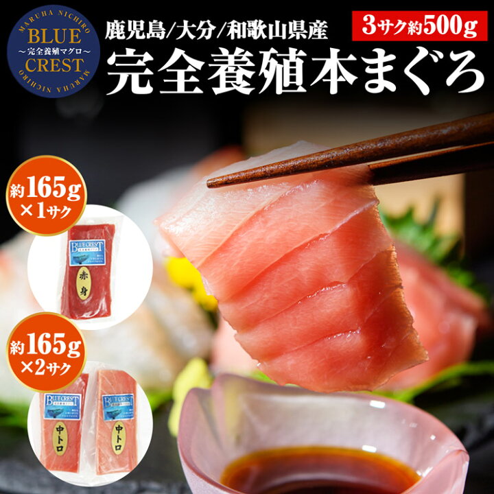 楽天市場 本まぐろ 産地直送 完全養殖 3サク約500g 赤身1中トロ2 クロマグロ 本マグロ 鮪 マルハニチロ Blue Crest 産直 送料無料 冷凍便 同梱不可 指定日不可 ギフト お取り寄せグルメ 食品 ギフト 食の達人森源商店