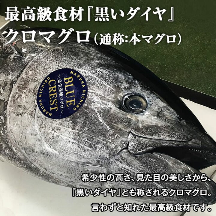 楽天市場 本まぐろ 産地直送 完全養殖 3サク約500g 赤身1中トロ2 クロマグロ 本マグロ 鮪 マルハニチロ Blue Crest 産直 送料無料 冷凍便 同梱不可 指定日不可 ギフト お歳暮 ハロウィン お取り寄せグルメ 食品 ギフト 食の達人森源商店