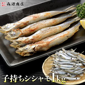 訳あり 子持ち ししゃも 冷凍 1kg 約80-120尾 卵 カラフトシシャモ 冷凍 からふと 樺太シシャモ 子持ちししゃも お中元 ギフト プレゼント