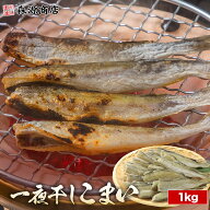 ＼15日限定★エントリ＆抽選で100%ポイントバック！／ こまい 1kg 一夜干し 北海道産 氷下魚 コマイ 冷凍…