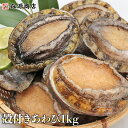 あわび 冷凍 1kg 12粒入 刺身 鮑 アワビ お取り寄せ おせち 生食 えぞあわび 貝 蝦夷 殻付き awabi 妊婦 ギフト プレ…