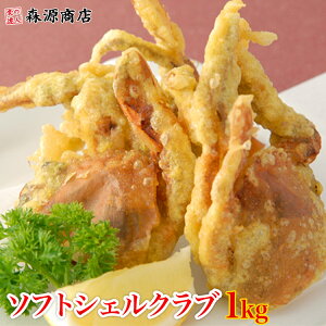 Ɩp\tgVFNu1kgi10C`14Cj Mtg v[g