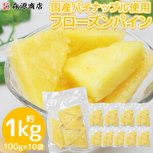 t[c Ⓚ pC 1kg Y 100g×10 pCibv Jbgt[c Ⓚt[c XX