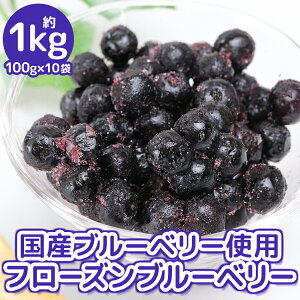 選べる 冷凍 フルーツ 国産 みかん 白桃 パイナップル いちご すいか メロン マンゴー ブルーベリー レモン 森源商店 ギフト プレゼント
