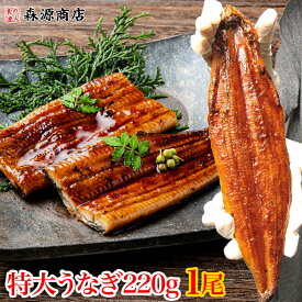 特大 うなぎ 蒲焼き 1尾 約220g 鰻 中国産 土用丑の日 ギフト お歳暮 お取り寄せグルメ 食品