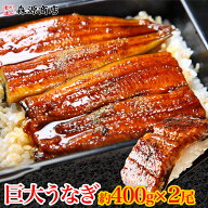 巨大 うなぎ 蒲焼 2尾 約400g前後 （計約800g）送料無料 かばやき ウナギ うなぎ 鰻 蒲焼き 鰻 ギフト プ…