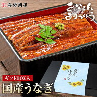 選べる 父の日 うなぎ 国産 2尾 鰻 蒲焼き ギフト 鹿児島 180g 150g 125g 無投薬 冷凍 プレミアム 山田水…