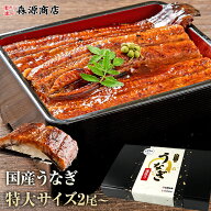 選べる うなぎ 国産 2尾 鰻 蒲焼き ギフト 鹿児島 180g 150g 125g 無投薬 冷凍 プレミアム 山田水産 送料…