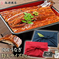 選べる うなぎ 国産 2尾 鰻 蒲焼き ギフト 鹿児島 180g 150g 125g 無投薬 冷凍 プレミアム 山田水産 送料…