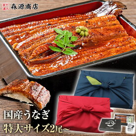 選べる うなぎ 国産 2尾 鰻 蒲焼き ギフト 鹿児島 180g 150g 125g 無投薬 冷凍 プレミアム 山田水産 送料無料 土用丑の日 お歳暮 夏ギフト unagi